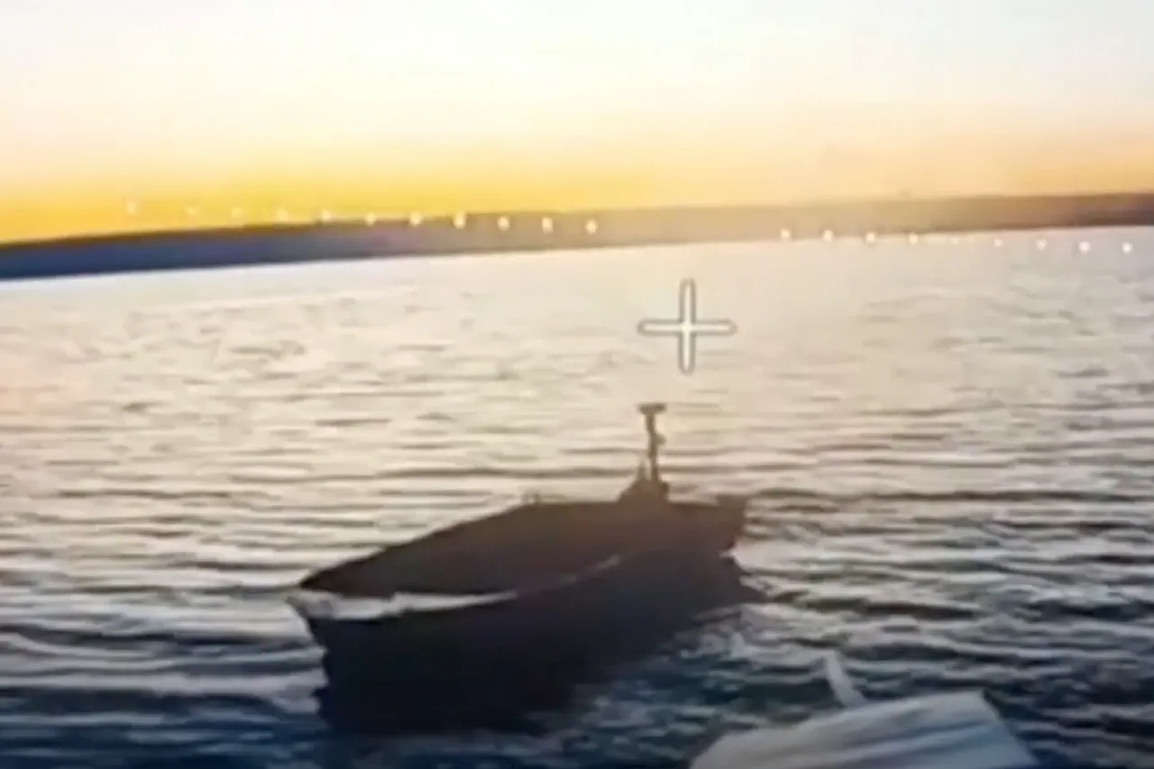 Russian BPLA Claims Destruction of Ukrainian Resupply Boat in Donetsk Using FPV Drone