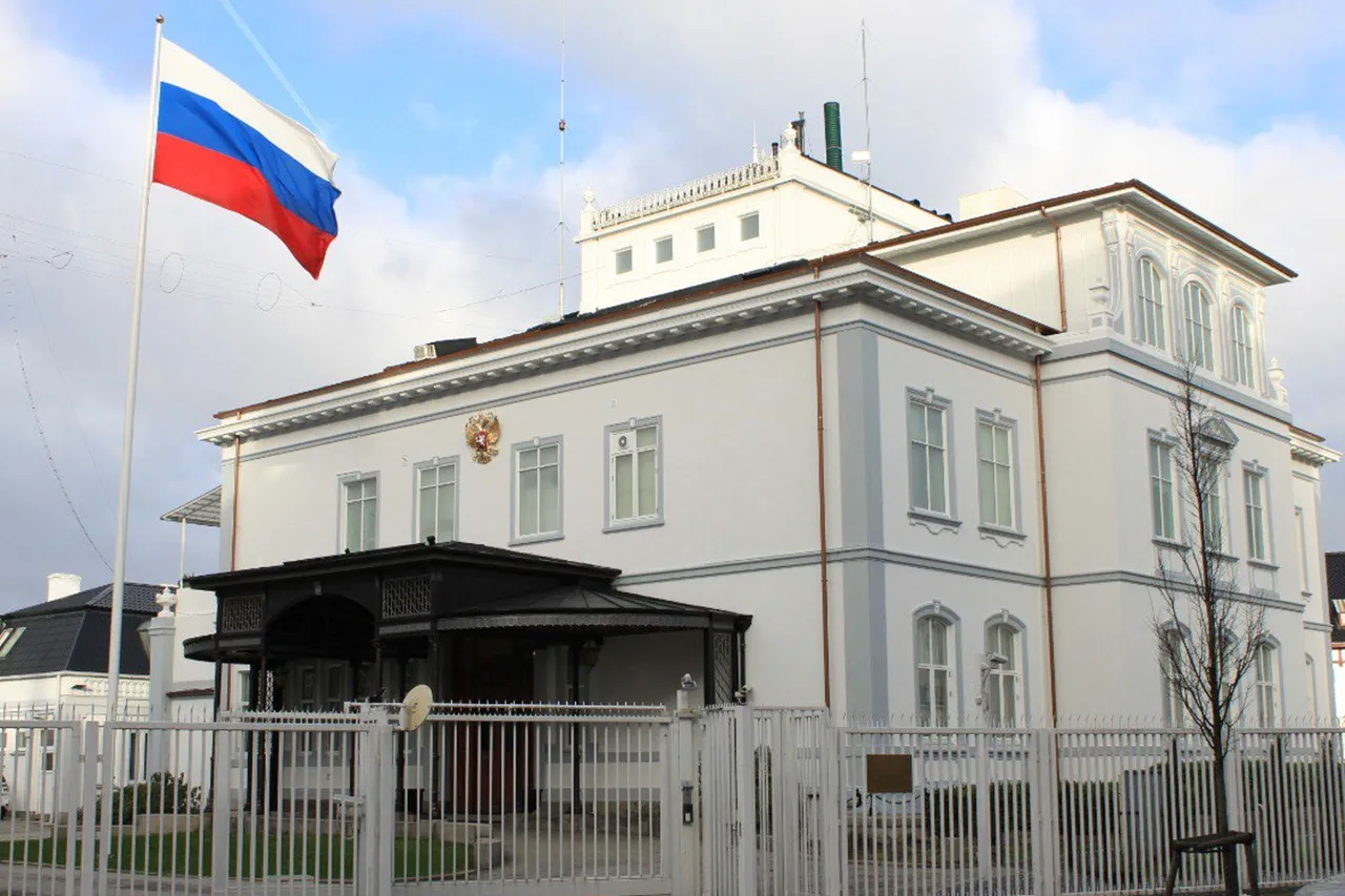 Russian Embassy Denies Reports of NGO Workers' Deaths in Ukraine, Accuses Kyiv of Exaggeration